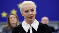 Yulia Navalnaya tells the EU Parliament You have to stop