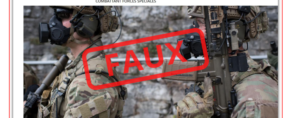 a fake website impersonates the French army