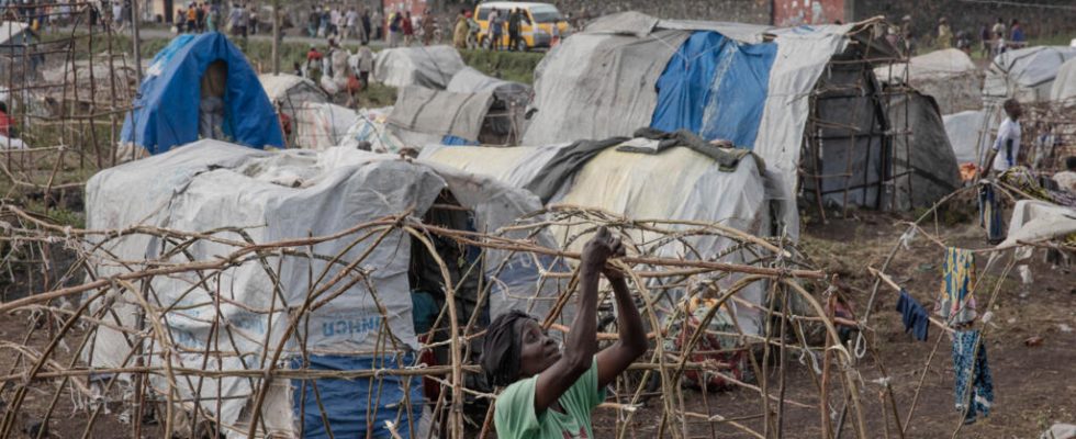 in the Goma camps the displaced lack everything