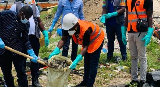 large quantity of dead fish found in Bietry Bay