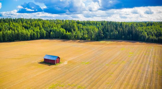 nature restoration law deadlocked by divisions in European countries