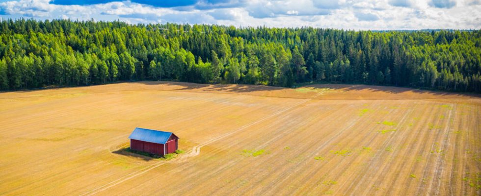 nature restoration law deadlocked by divisions in European countries