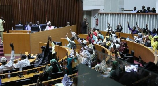 the National Assembly adopts an amnesty law in the midst