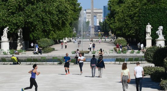 the Tuileries garden well on its way to welcoming the