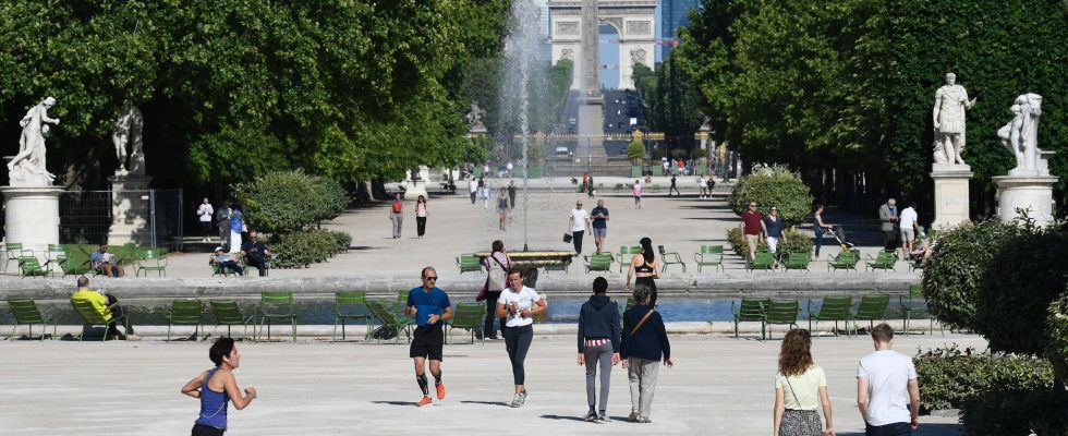 the Tuileries garden well on its way to welcoming the