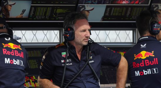 the crisis at Red Bull its reasons and its consequences