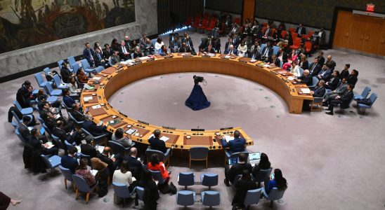 the vote at the UN for an immediate ceasefire which