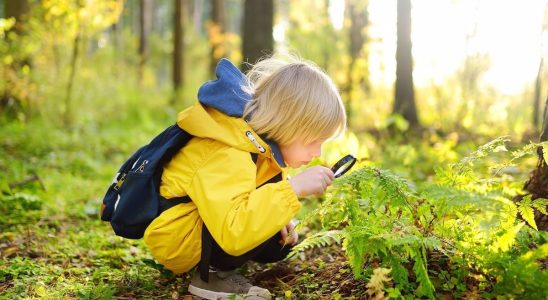 3 tips for reconnecting your child with nature