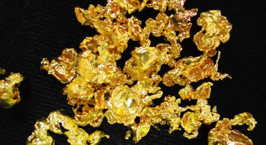 A gold prospector discovers a nugget worth 50000 euros his