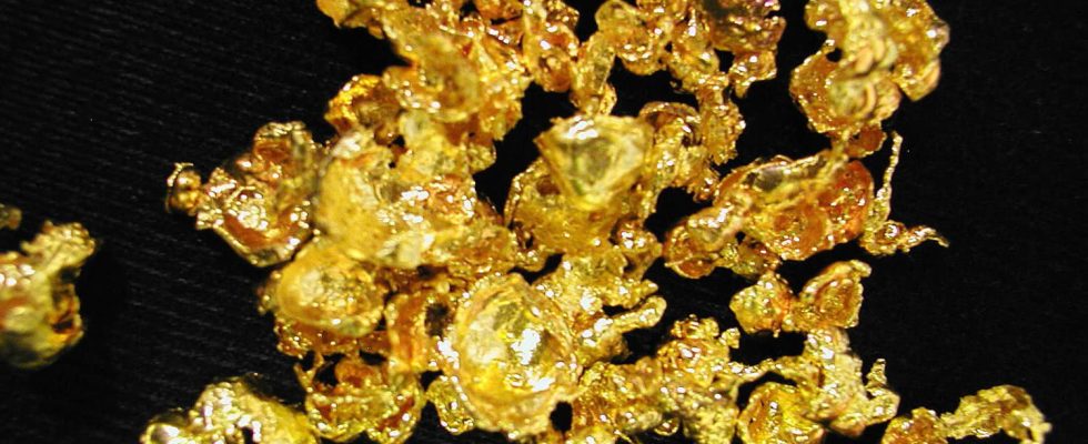 A gold prospector discovers a nugget worth 50000 euros his