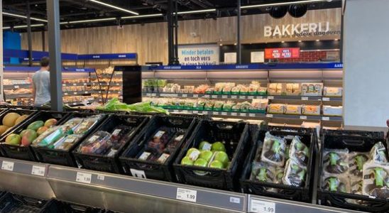 Aldi permit in Mijdrecht annulled by judge