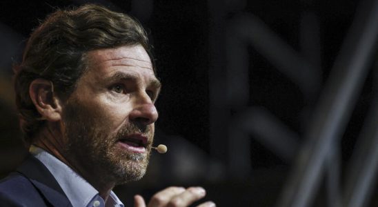 Andre Villas Boas elected new president of FC Porto