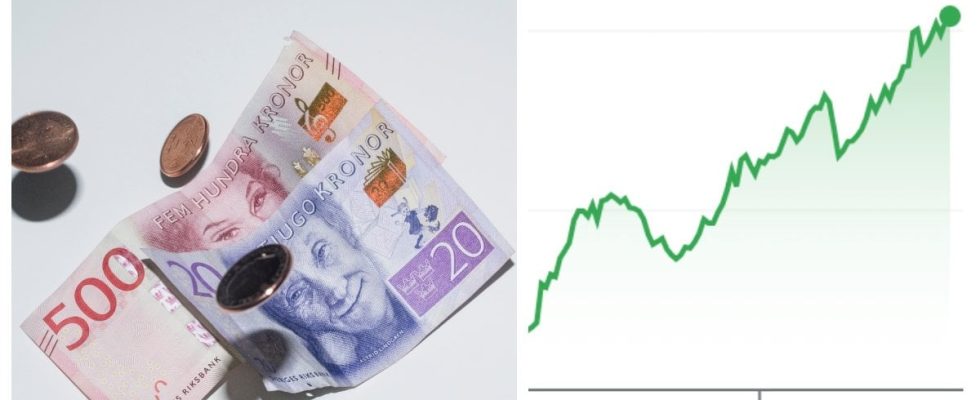 Cheaper goods in Sweden make holidays more expensive this summer