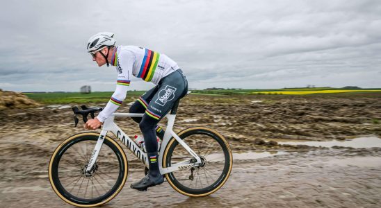 DIRECT Paris Roubaix 2024 van der Poel unbeatable Follow the race