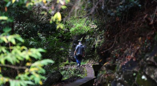 Disappearance of French people in Madeira the body of a