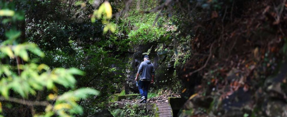 Disappearance of French people in Madeira the body of a