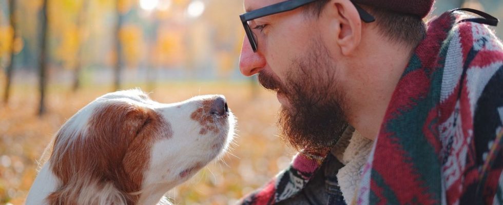 Dogs may recognize post traumatic stress through their sense of smell