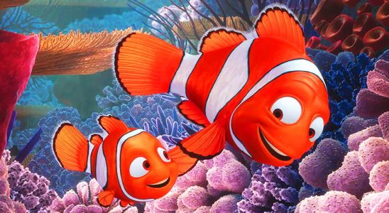 Finding Nemo almost became a disaster but with a little