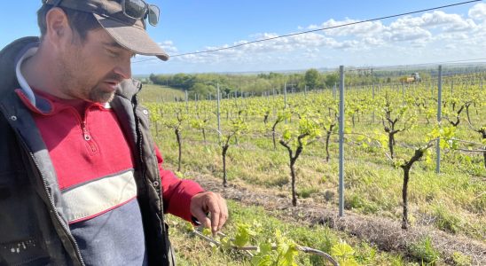 French cognac at the heart of the trade war with