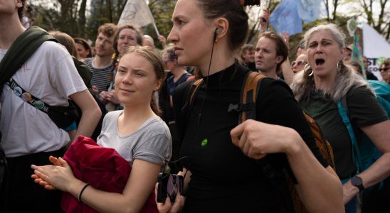 Greta Thunberg arrested in The Hague