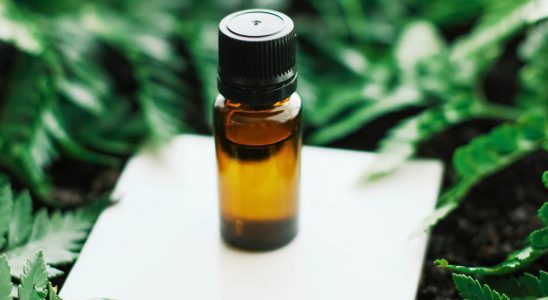 Here is the best essential oil to stop coughing