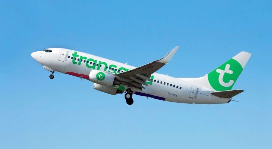 Here is the exact date when Transavia will put on