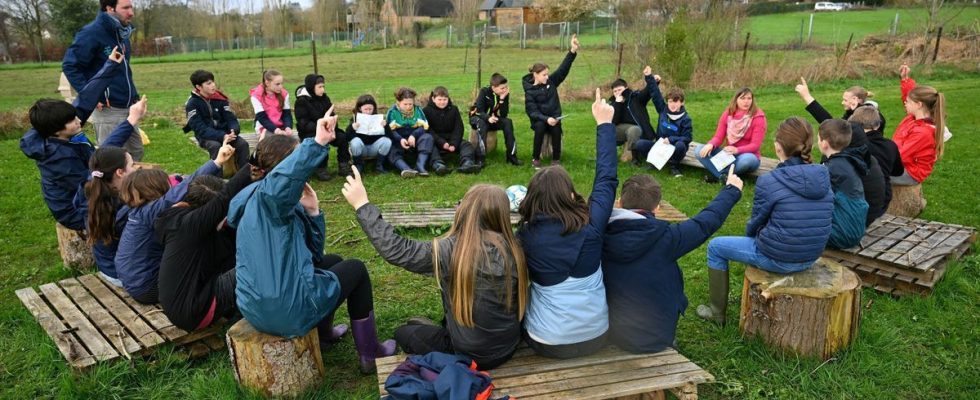 In Belgium the outdoor school connects children with nature