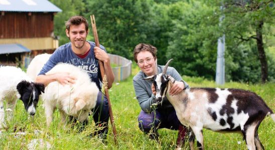 In the shoes of a goatherd cheesemaker in Savoie