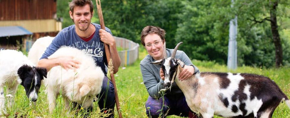 In the shoes of a goatherd cheesemaker in Savoie