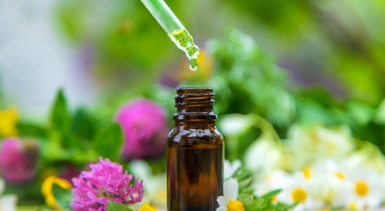 It is the best essential oil to relieve stomach pain