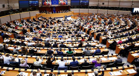 MEPs validate the reform – LExpress