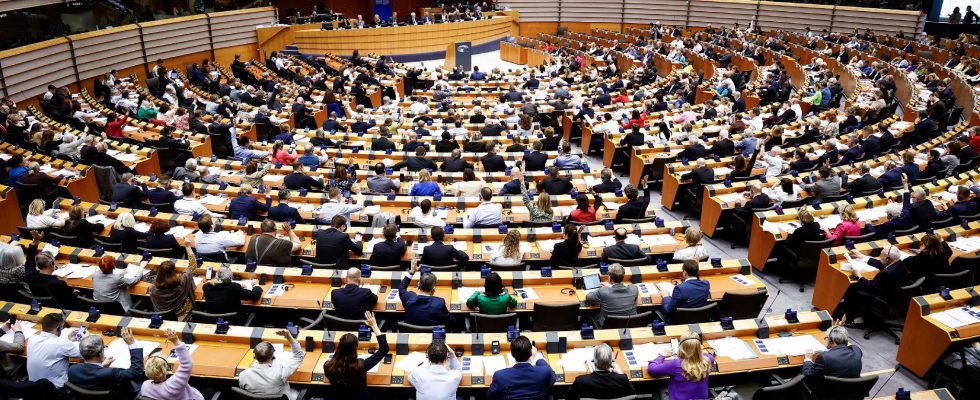 MEPs validate the reform – LExpress