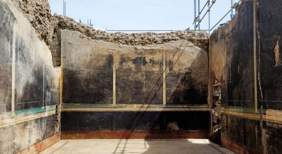 Magnificent banquet hall discovered in Pompeii