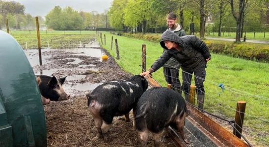 New farmers Willemshoeve Soest produce local food People increasingly aware