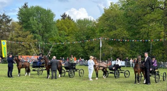 Pony died after Oranjecompetition in De Bilt Sad story