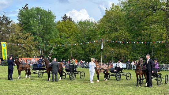 Pony died after Oranjecompetition in De Bilt Sad story