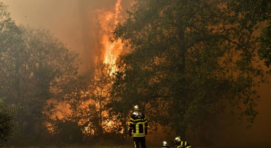 Risk of fire in the south of France this territory