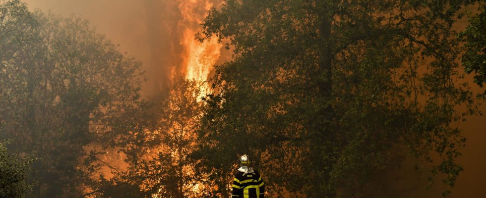 Risk of fire in the south of France this territory