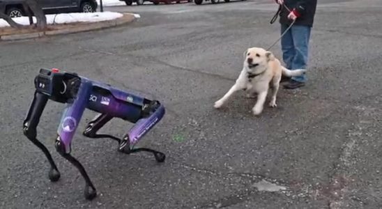 Robot dogs will keep Alaskan airstrips clear of animals