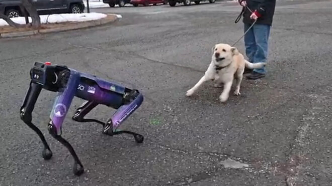 Robot dogs will keep Alaskan airstrips clear of animals