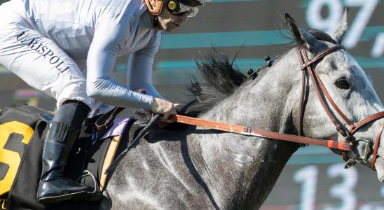 Runaway horse surprised train travelers