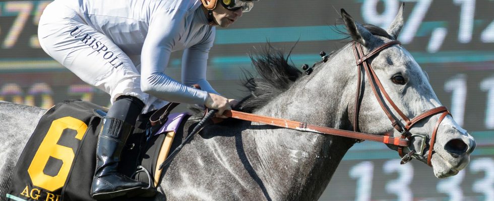 Runaway horse surprised train travelers