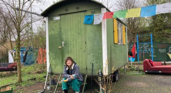 Squatter Merel realized her ideal mini society in the old car