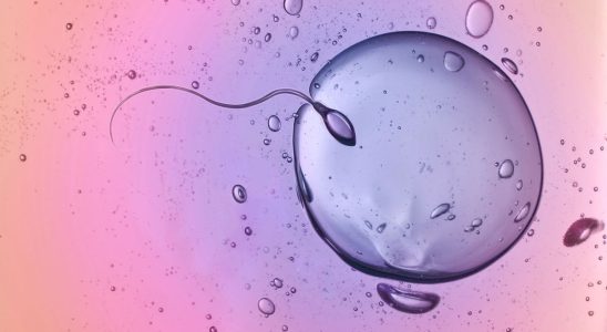 The decline in fertility a global phenomenon that will increase