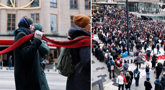 The rebel mothers marched towards the Riksdag in protest against