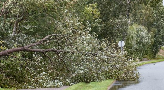 The stormy weather moves east – and calms down