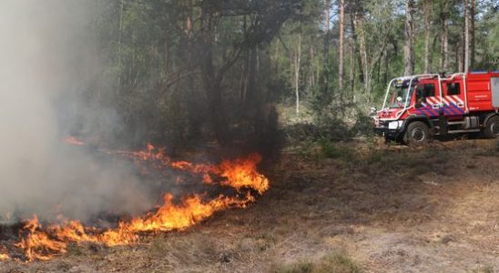 There has been a risk of a deadly Heuvelrug wildfire