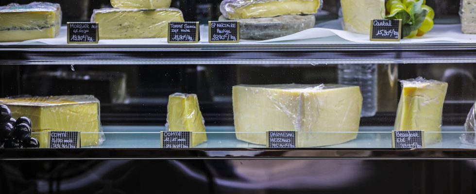 These two cheeses can make you seriously ill and should