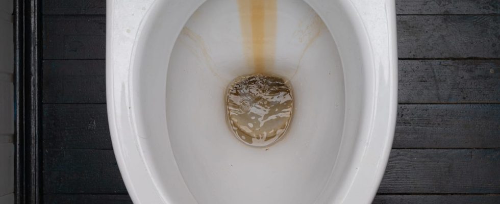 This is THE solution to avoid limescale in the toilet