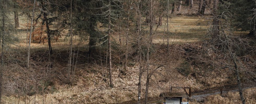 Who is the hiker who brought the childs skull home